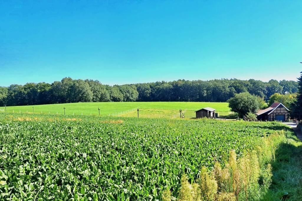 Das Bergherz Ruhe + Natur Pur Reken Luaran gambar